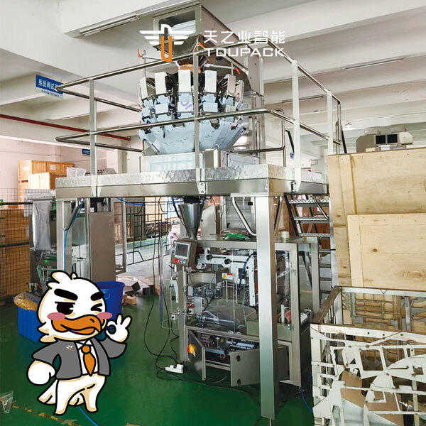 GUANGDONG TOUPACK INTELLIGENT EQUIPMENT CO., LTD