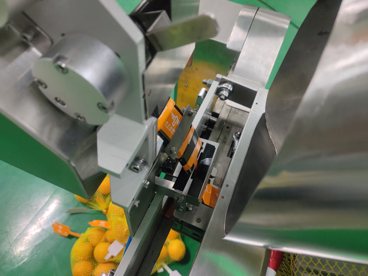 آلة تعبئة كيس صافي تلقائي نطاق الوزن 3g-5000g لتعبئة الخضروات الفواكه البطاطس الزنجبيل الفواكه الحمضية