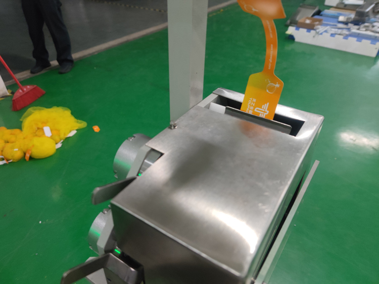 آلة تعبئة كيس صافي تلقائي نطاق الوزن 3g-5000g لتعبئة الخضروات الفواكه البطاطس الزنجبيل الفواكه الحمضية