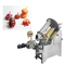 نظام التغليف الآلي ODM لآلة تعبئة الأكياس الشبكية للشوكولاتة بالعملة المعدنية والفاكهة