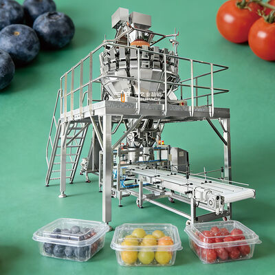Speed Meets Precision: The Ultimate Small Fruit Packaging Solution