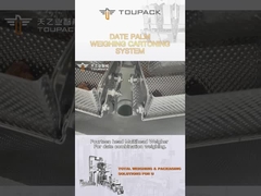 التخصيص نخيل التمر مربع التعبئة خط آلة تعبئة الحبيبات التلقائي خط تجميع الإنتاج