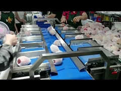 TOUPACK Apple يزن 12 رأسًا مع آلة تعبئة وتغليف الوسادة