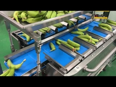 مصنع الصناعة نصف السيارات شبكة شبكة حقيبة الوزن العد شبكة قطع حزمة حزمة