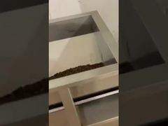 آلة تعبئة كوب القهوة خطية