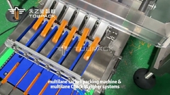 آلة تعبئة الأكياس الصناعية متعددة الممرات مع جهاز قياس متعدد الممرات