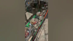 طعام الببغاء طعام الحيوانات الأليفة VFFS المكسرات الحبيبات تجميد الفواكه المجففة آلة تعبئة للفواكه المجففة