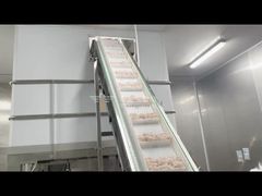 Introduce 14 Head 1.6L/2.5L Multihead Weigher machine For Frozen Dumplings Peanuts For You