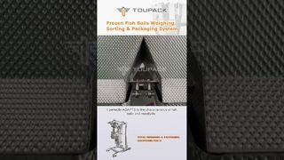 تم تصميم نظام الميزان متعدد الرؤوس هذا خصيصًا لكرات الأسماك المجمدة