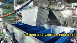 خط الوزن والتعبئة الأوتوماتيكي لأقدام الدجاج (أكياس 5 كجم)