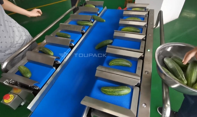 ميزان نصف أوتوماتيكي مكون من 12 حزام للخضروات والجزر والخيار والفلفل الحار 1