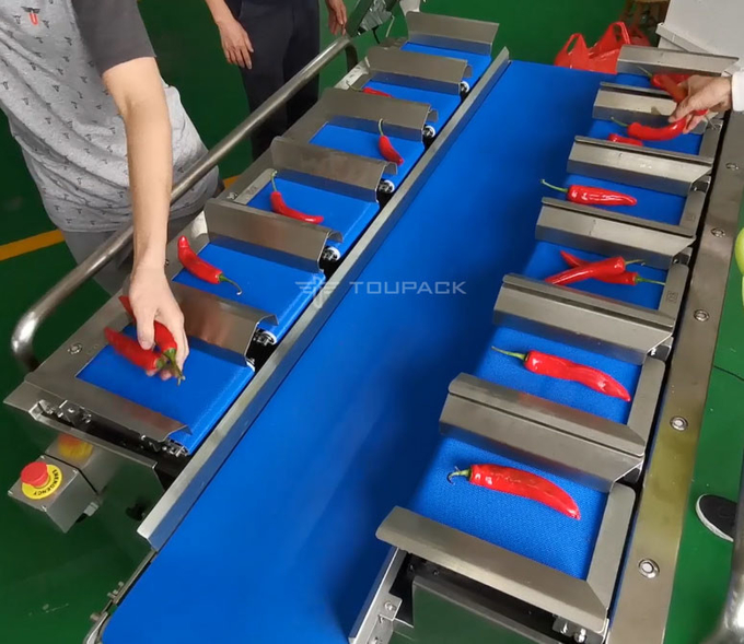 ميزان نصف أوتوماتيكي مكون من 12 حزام للخضروات والجزر والخيار والفلفل الحار 2